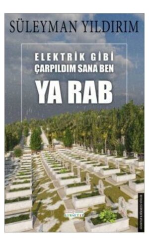 Elektrik Gibi Çarpıldım Sana Ben Ya Rab